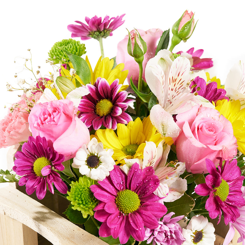 Slice of Nature Garden Chair from New York Blooms - Mixed Flower Gifts - New York Delivery.