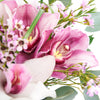 Softly Pink Orchid Box Arrangement from New York Blooms - Mixed Floral Hat Box - New York Delivery.