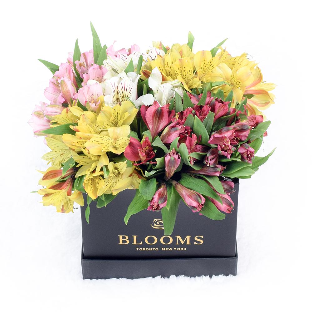 Spring Bloom Peruvian Lily Hat Box from New York Blooms - Mixed Floral Hat Box - New York Delivery.