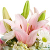 Spring Forth Mixed Floral Gift from New York Blooms - Mixed Floral Gifts - New York Delivery.
