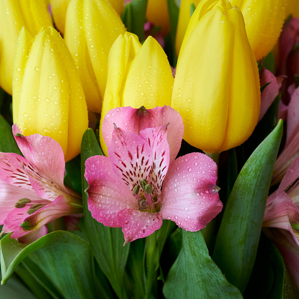 Spring Radiance Mixed Bouquet from New York Blooms - Floral Gifts - New York Delivery.