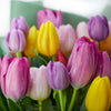 Spring Radiance Tulip Bouquet from New York Blooms - Flower Gifts - New York Delivery.