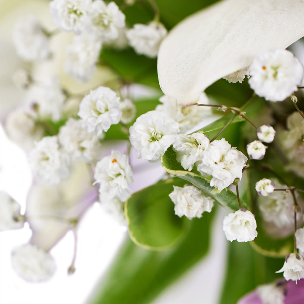 Spring Rose & Lily Arrangement from New York Blooms - Mixed Floral Gifts - New York Delivery.