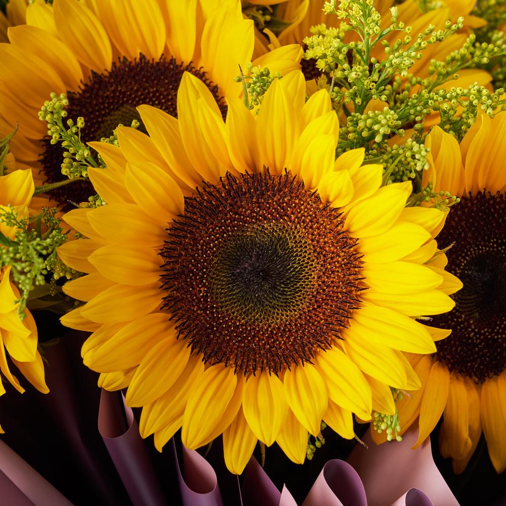 Summer Glory Sunflower Bouquet from New York Blooms - Flower Gifts - New York Delivery.