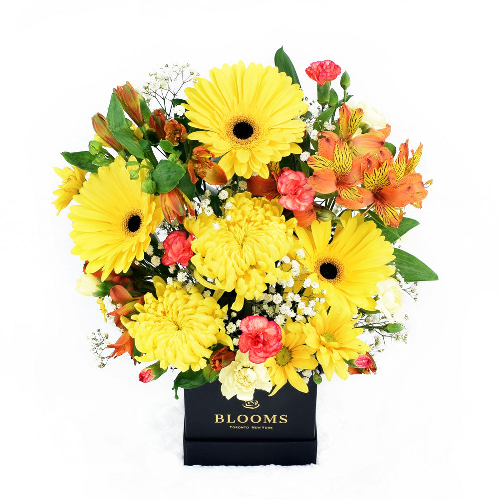 Sunrise Mixed Floral Arrangement from New York Blooms - Mixed Floral Gifts - New York Delivery.