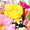 Touch of Spring Box Arrangement from New York Blooms - Mixed Floral Box Gifts - New York Delivery.