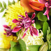 Tropical Shine Mixed Bouquet from New York Blooms - Mixed Floral Gifts - New York Delivery.