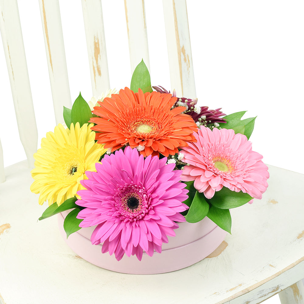 Vivacious Daisy Arrangement from New York Blooms - Mixed Floral Gifts - New York Delivery.