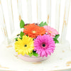 Vivacious Daisy Arrangement from New York Blooms - Mixed Floral Gifts - New York Delivery.