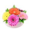 Vivacious Daisy Arrangement, Daisies, Gerberas, Mixed Floral Gifts, Mixed Floral Hat Box, NY Same Day Delivery