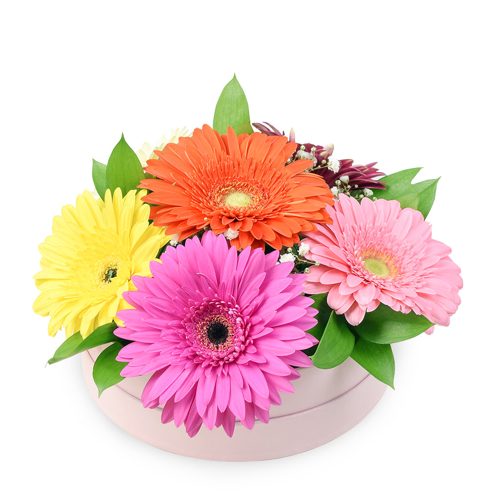 Vivacious Daisy Arrangement from New York Blooms - Mixed Floral Gifts - New York Delivery.