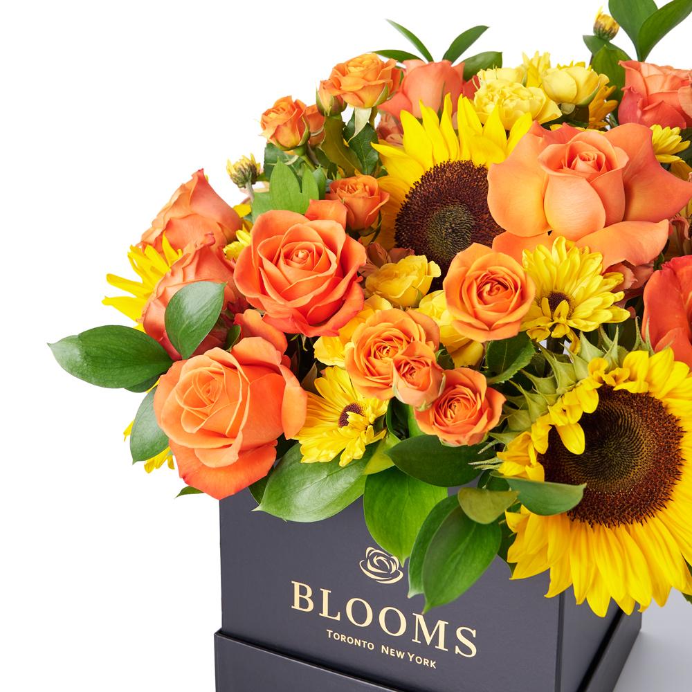You Are My Sunshine Sunflower Box Gift from New York Blooms - New York Blooms - New York Delivery.