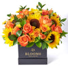 You Are My Sunshine Sunflower Box Gift - New York Blooms - USA flower delivery