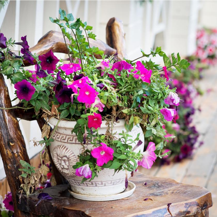 NY Same Day Flower Delivery - NY Flower Gifts